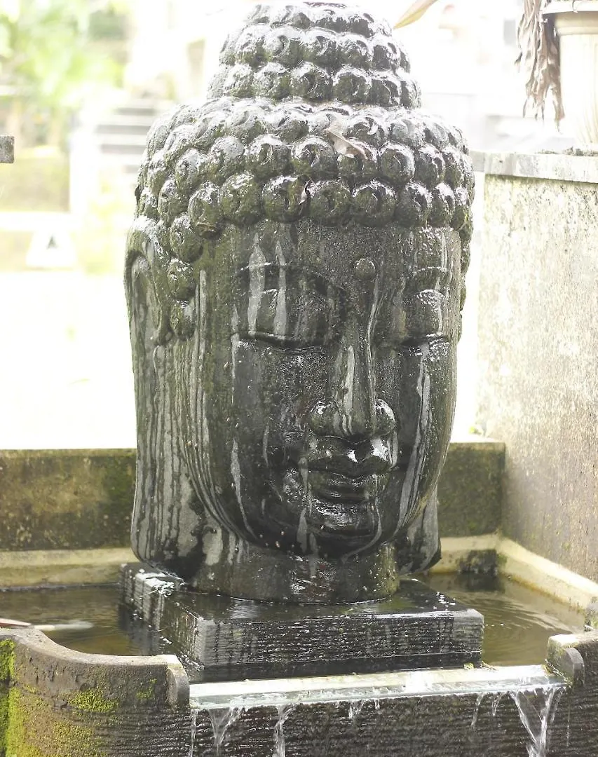 Dupa Sri Wedari Villa Ubud  Holiday park Ubud (Bali)